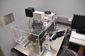 The live cell imaging system is utilized in the study of living cells through time-lapse photography